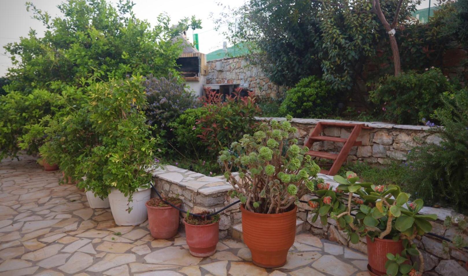Athena Kythera Diakofti Exterior photo